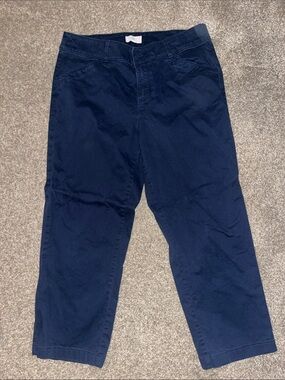 LOFT Womens Navy Casual Chino Pants